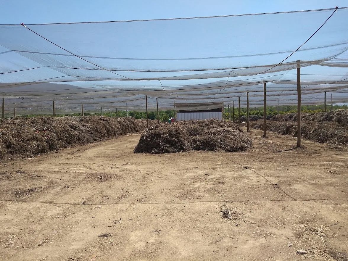 Planta Limache