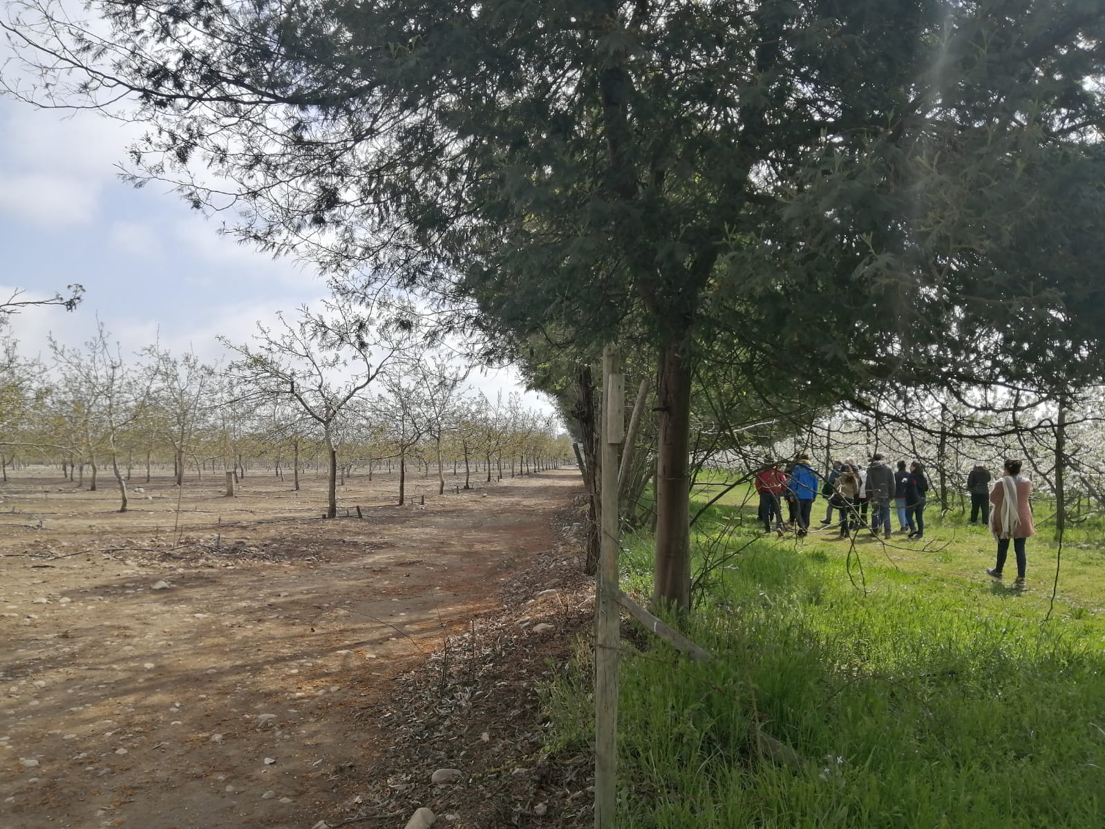 Agroindustria Sustentable